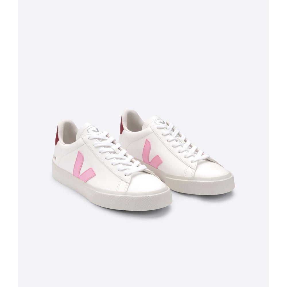 Veja CAMPO CHROMEFREE Muške Low Tops Sneakers White/Pink | VEJA094-HR