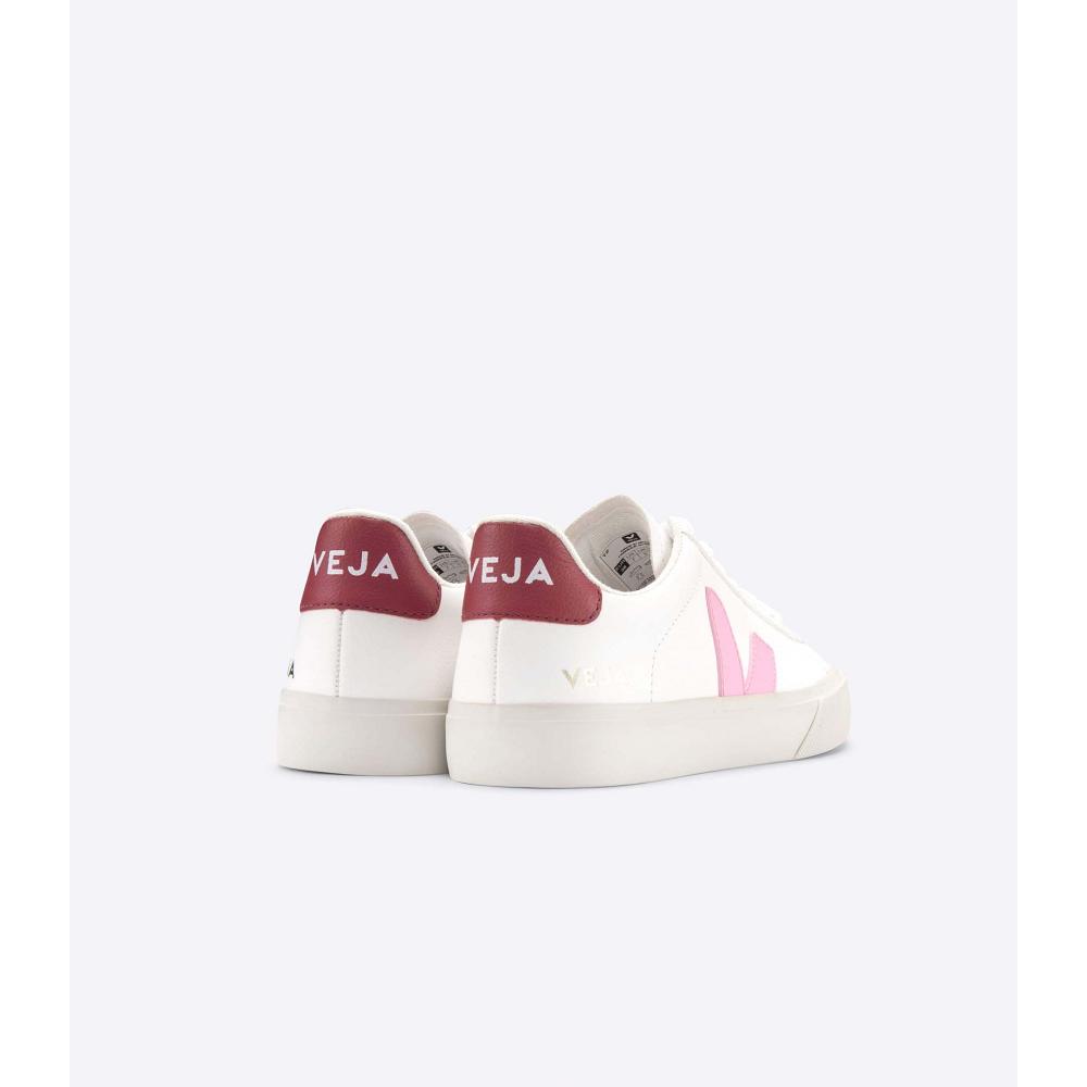 Veja CAMPO CHROMEFREE Muške Low Tops Sneakers White/Pink | VEJA094-HR