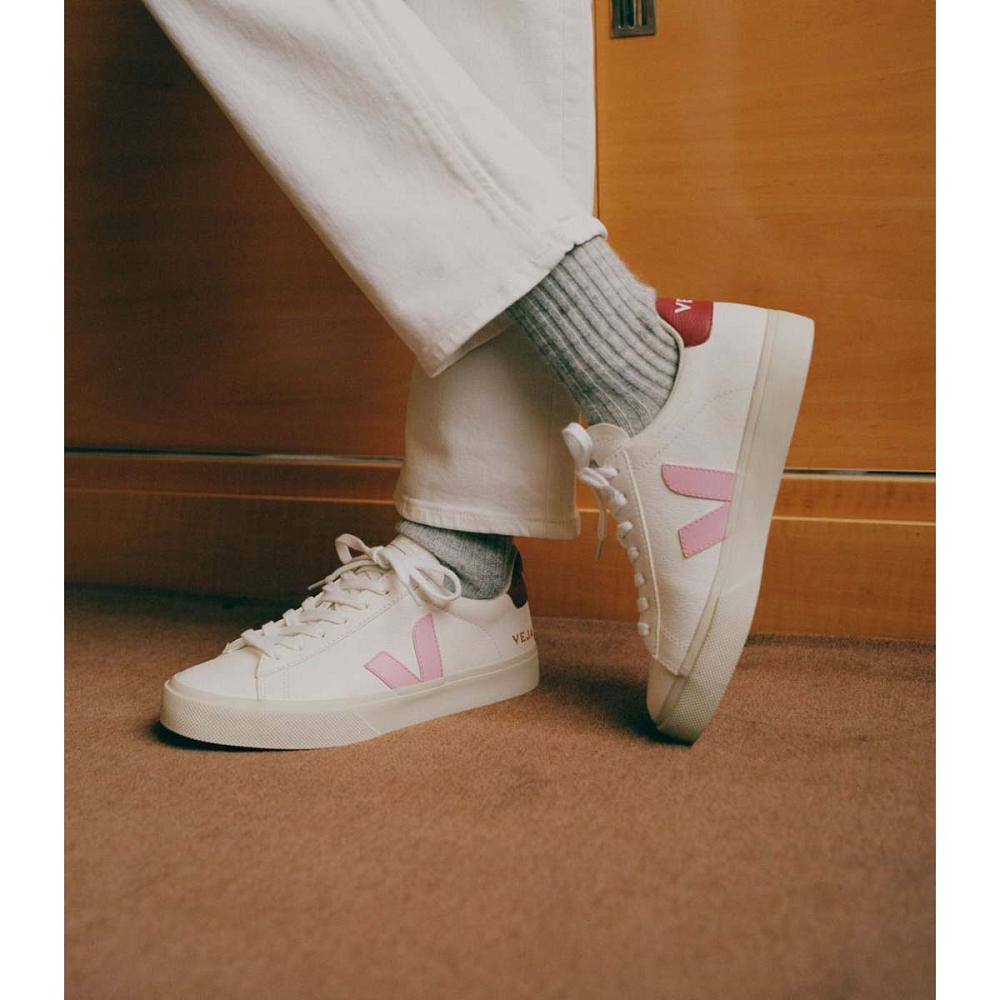 Veja CAMPO CHROMEFREE Muške Low Tops Sneakers White/Pink | VEJA094-HR