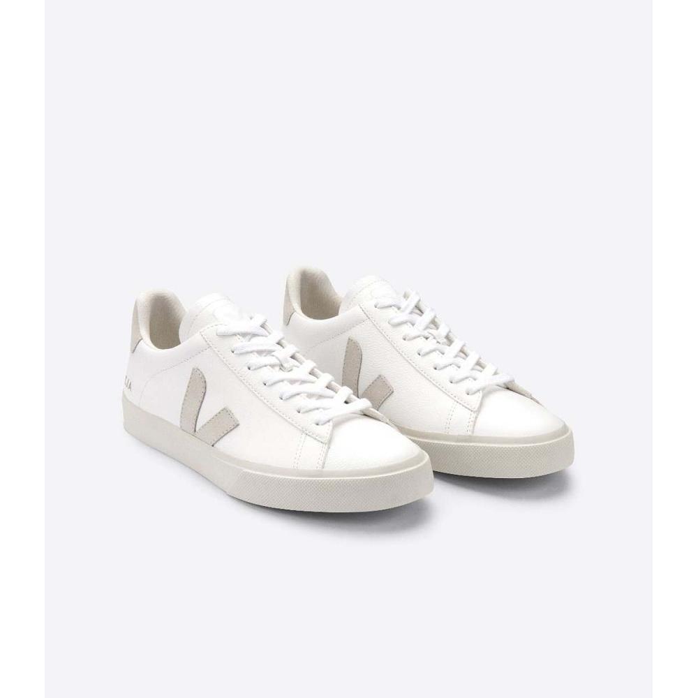 Veja CAMPO CHROMEFREE Muške Low Tops Sneakers White/Beige | VEJA104-HR