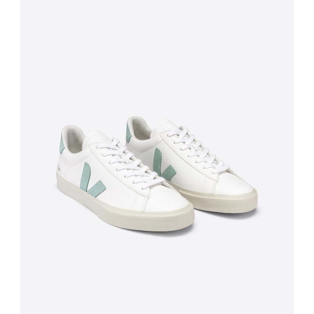 Veja CAMPO CHROMEFREE Muške Low Tops Sneakers White/Mint | VEJA196-HR