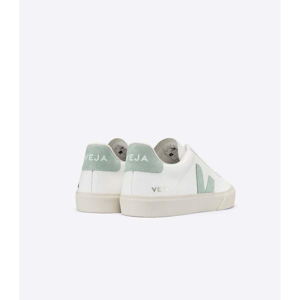 Veja CAMPO CHROMEFREE Muške Low Tops Sneakers White/Mint | VEJA196-HR