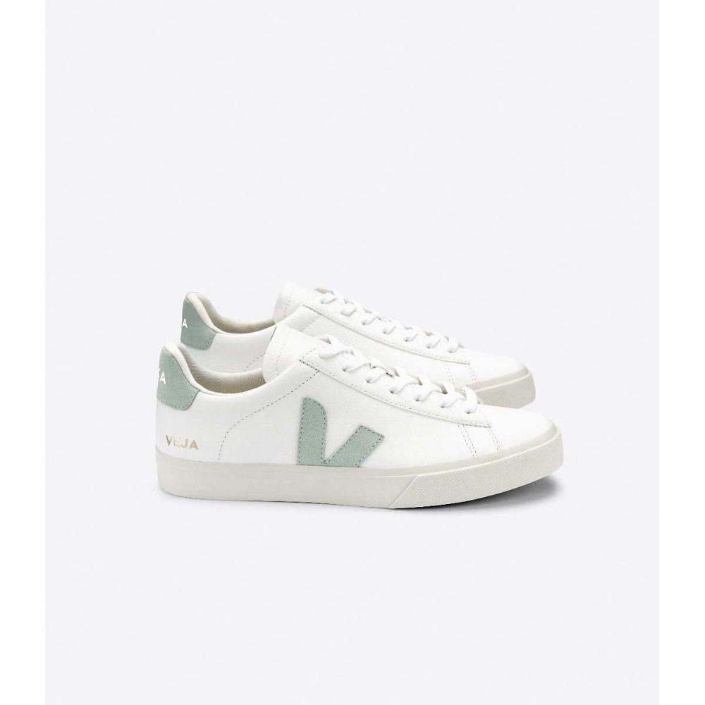 Veja CAMPO CHROMEFREE Muške Low Tops Sneakers White/Mint | VEJA196-HR