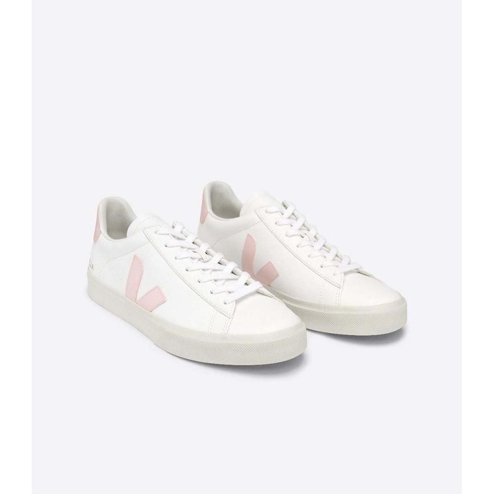 Veja CAMPO CHROMEFREE Ženske Low Tops Sneakers White/Pink | VEJA390-HR