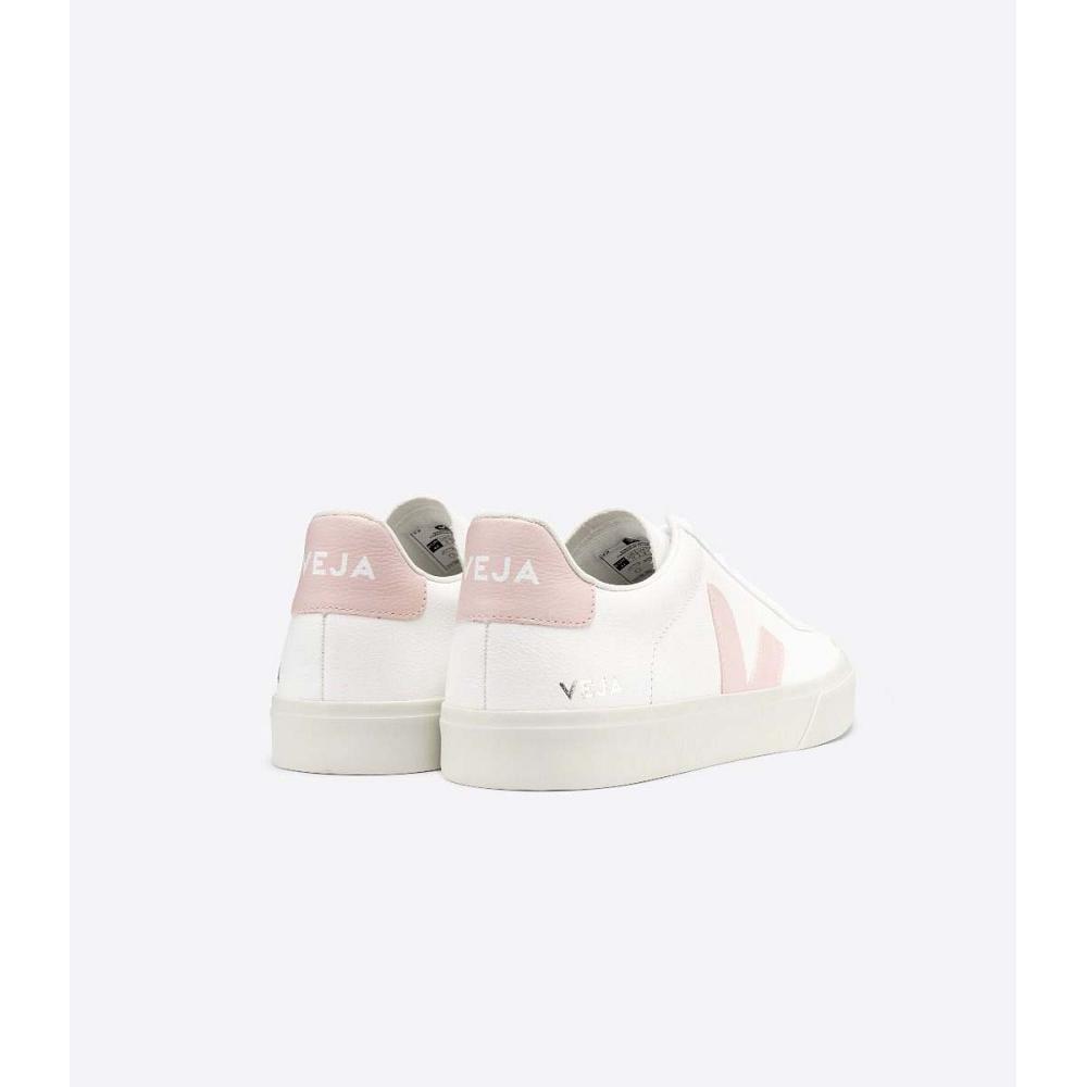 Veja CAMPO CHROMEFREE Ženske Low Tops Sneakers White/Pink | VEJA390-HR