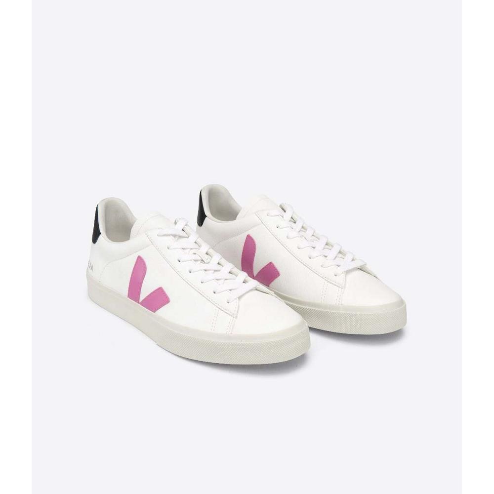 Veja CAMPO CHROMEFREE Ženske Low Tops Sneakers White/Purple | VEJA524-HR