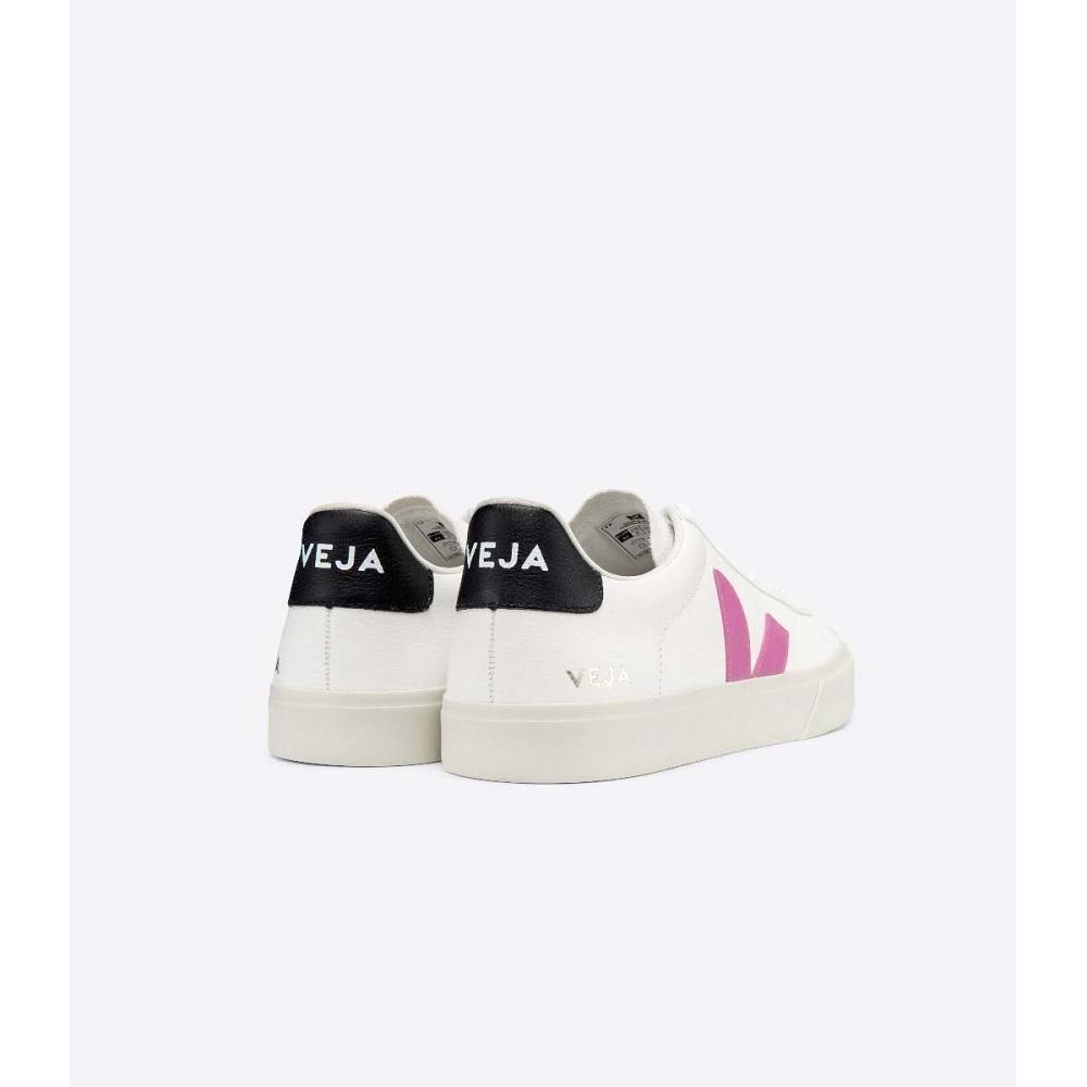 Veja CAMPO CHROMEFREE Ženske Low Tops Sneakers White/Purple | VEJA524-HR