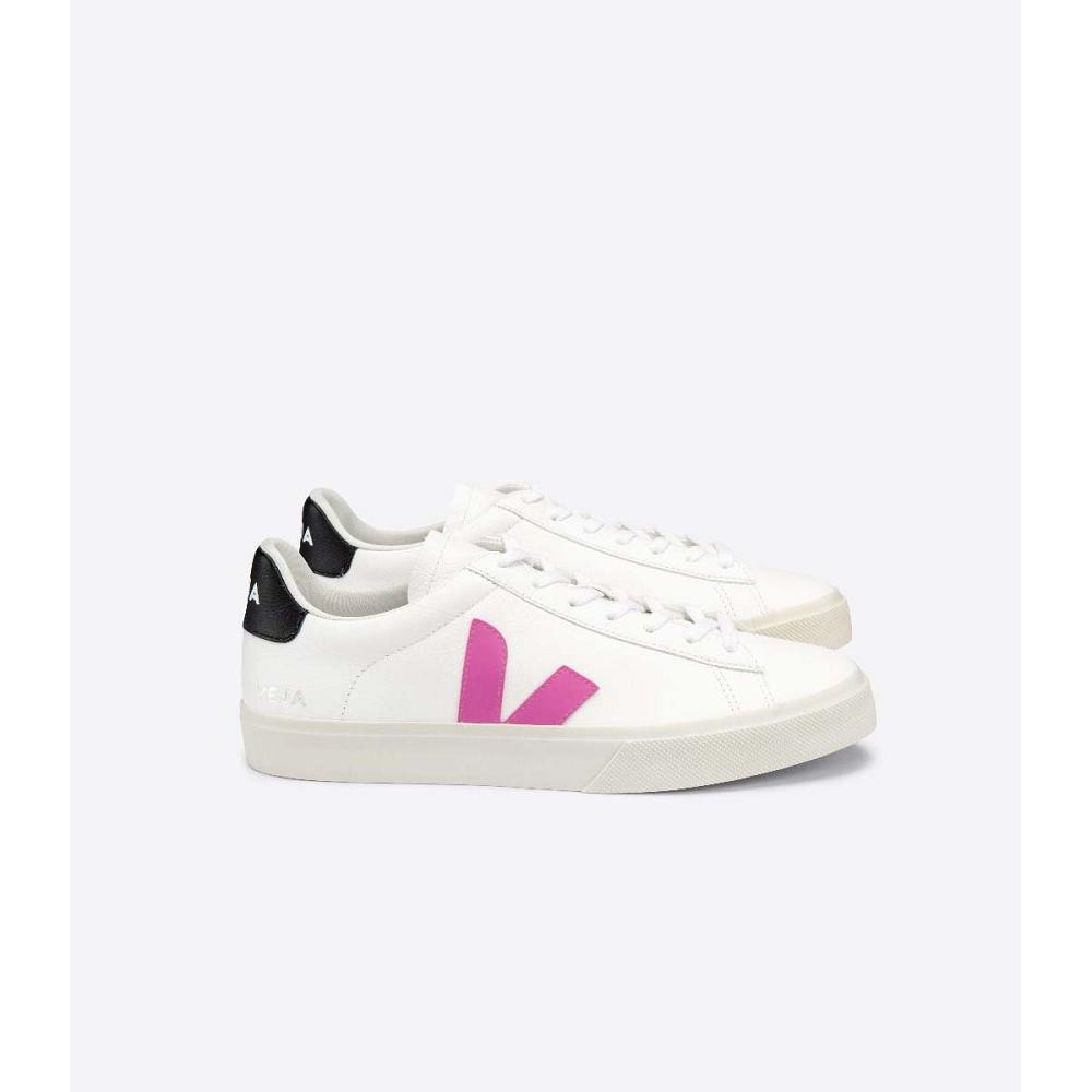 Veja CAMPO CHROMEFREE Ženske Low Tops Sneakers White/Purple | VEJA524-HR