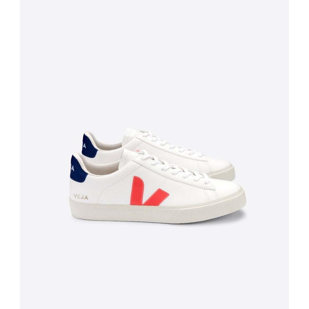 Veja CAMPO CHROMEFREE Ženske Low Tops Sneakers White/Orange/Blue | VEJA528-HR