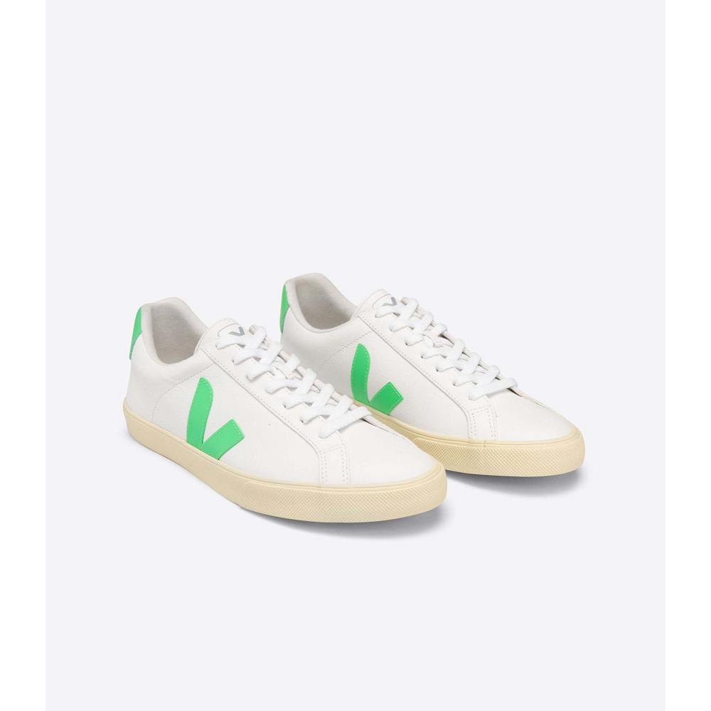 Veja ESPLAR CHROMEFREE BUTTER-SOLE Muške Tenisiće Bijele | VEJA202-HR