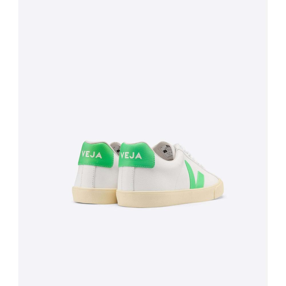 Veja ESPLAR CHROMEFREE Muške Cipele White/Green | VEJA093-HR