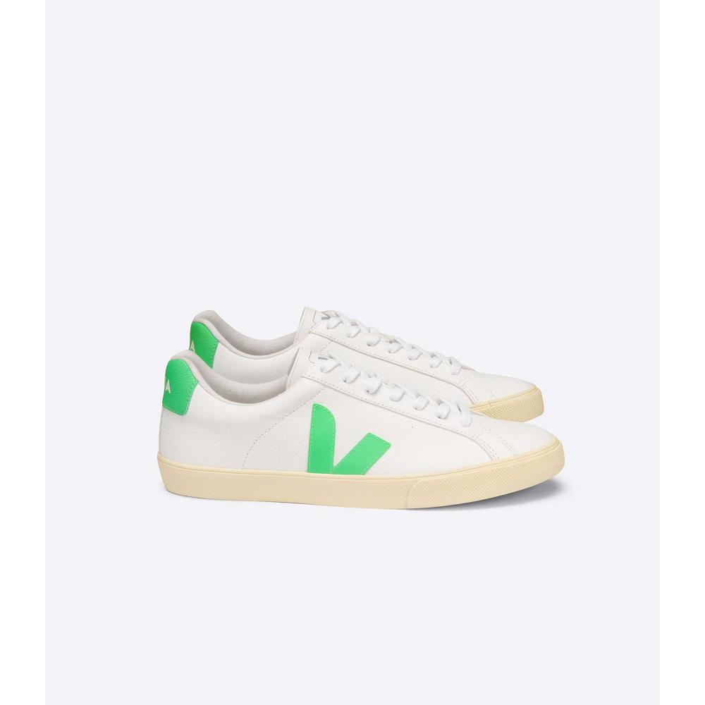 Veja ESPLAR CHROMEFREE Muške Cipele White/Green | VEJA093-HR