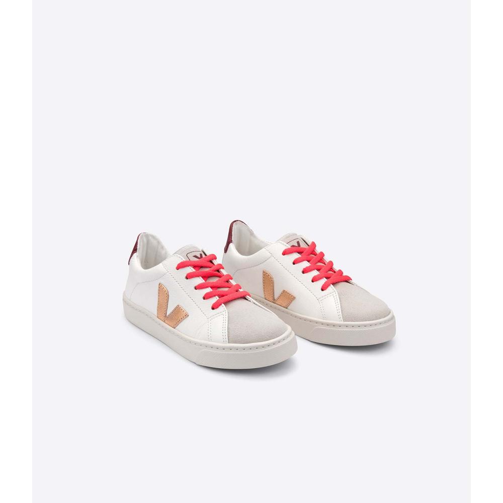 Veja ESPLAR LEATHER Dječje Tenisiće Gold/Red/White | VEJA737-HR