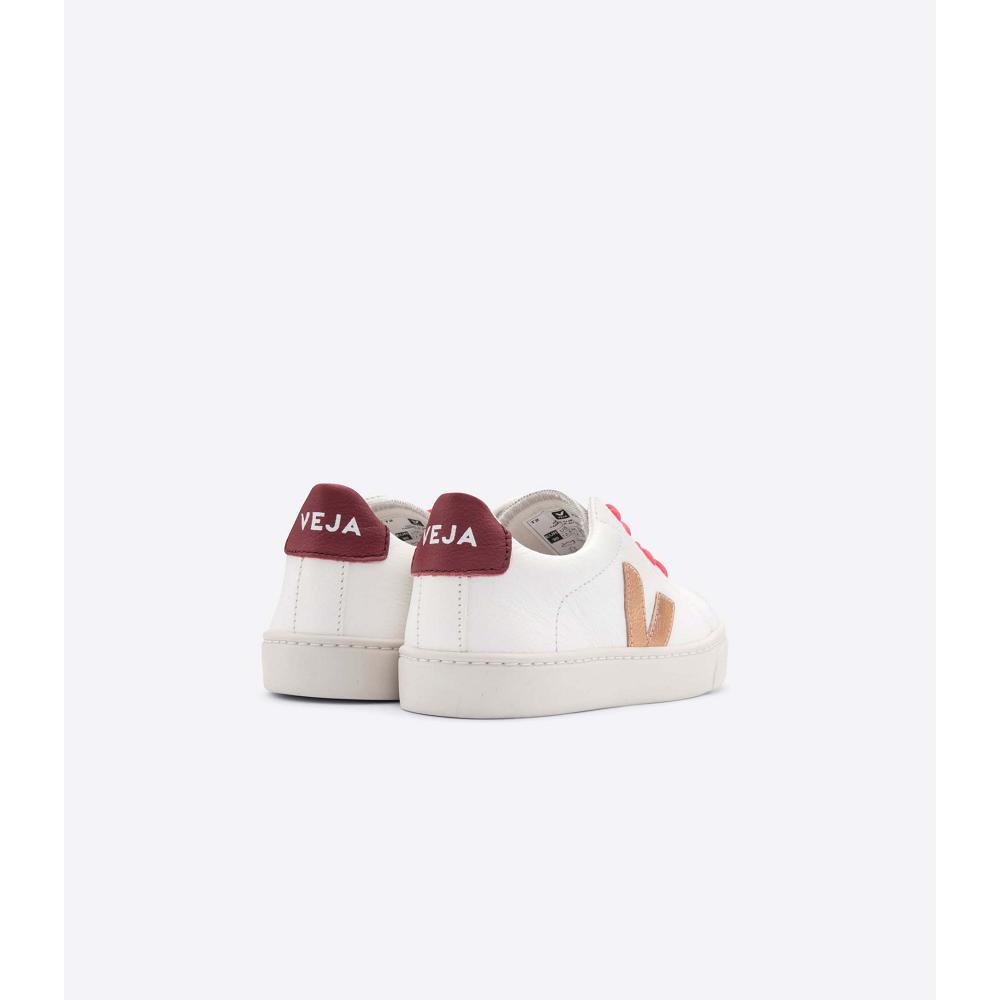 Veja ESPLAR LEATHER Dječje Tenisiće Gold/Red/White | VEJA737-HR