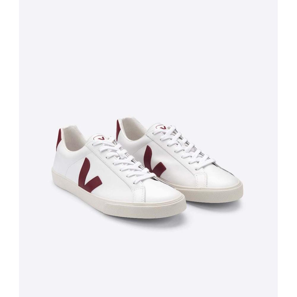 Veja ESPLAR LEATHER Muške Tenisiće White/Red | VEJA205-HR