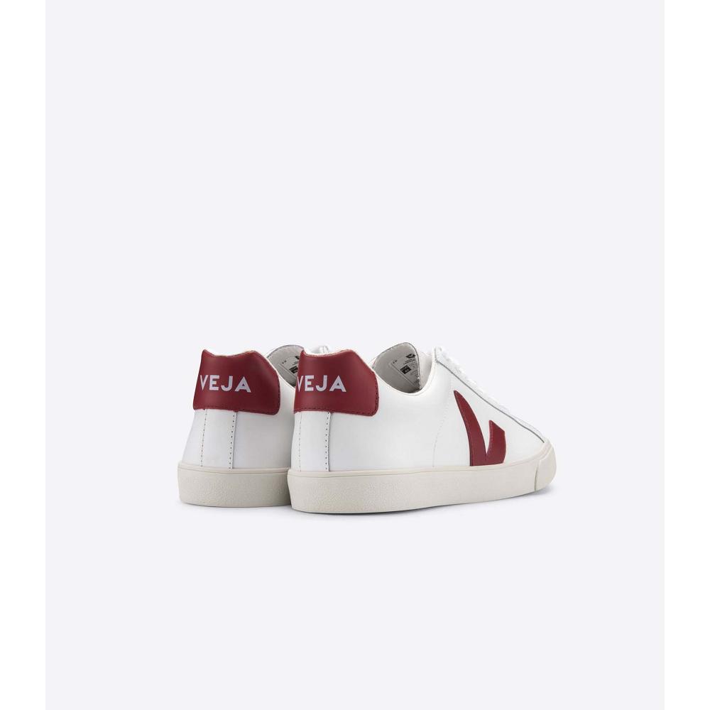 Veja ESPLAR LEATHER Muške Tenisiće White/Red | VEJA205-HR