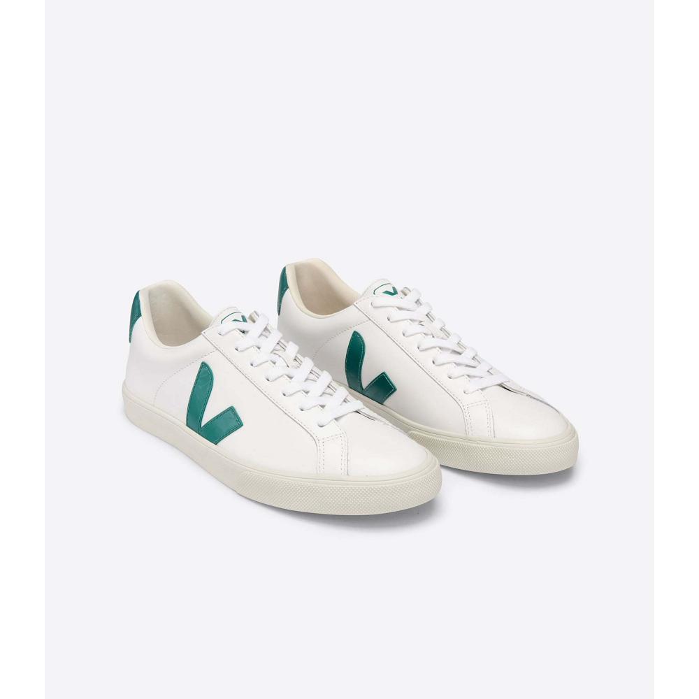 Veja ESPLAR LEATHER Muške Tenisiće White/Green | VEJA206-HR