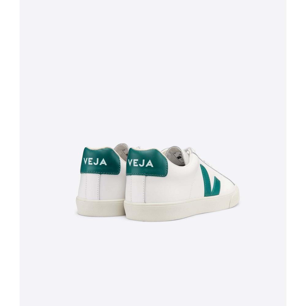 Veja ESPLAR LEATHER Muške Tenisiće White/Green | VEJA206-HR