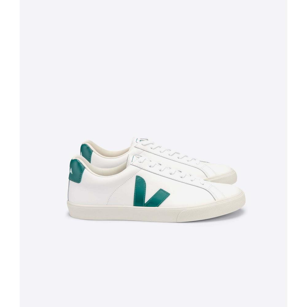 Veja ESPLAR LEATHER Muške Tenisiće White/Green | VEJA206-HR