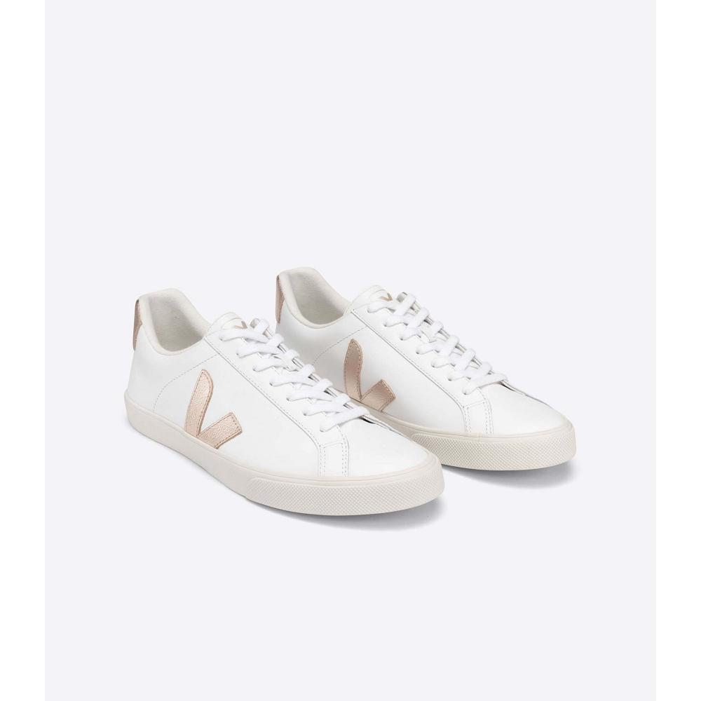 Veja ESPLAR LEATHER Ženske Tenisiće White/Brown | VEJA533-HR