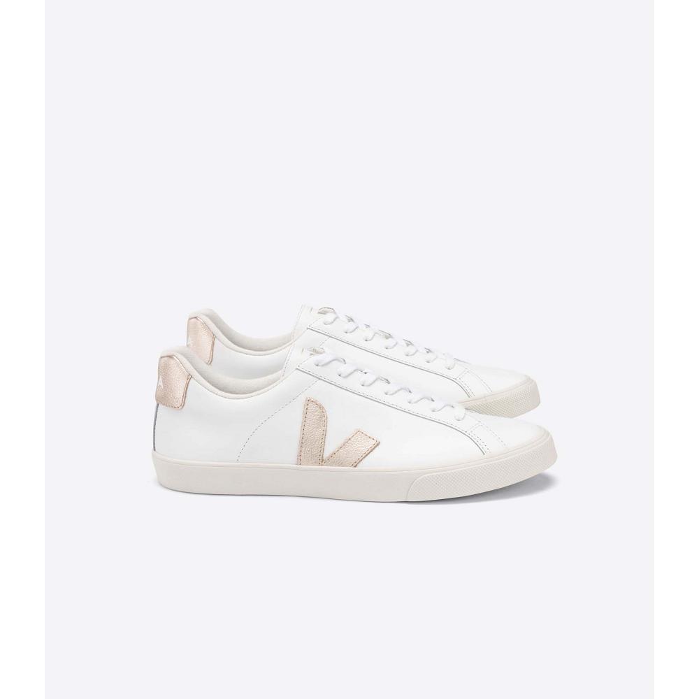 Veja ESPLAR LEATHER Ženske Tenisiće White/Brown | VEJA533-HR