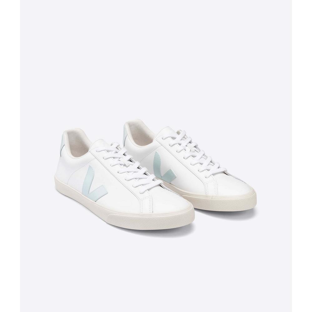 Veja ESPLAR LEATHER Ženske Tenisiće White/Blue | VEJA536-HR