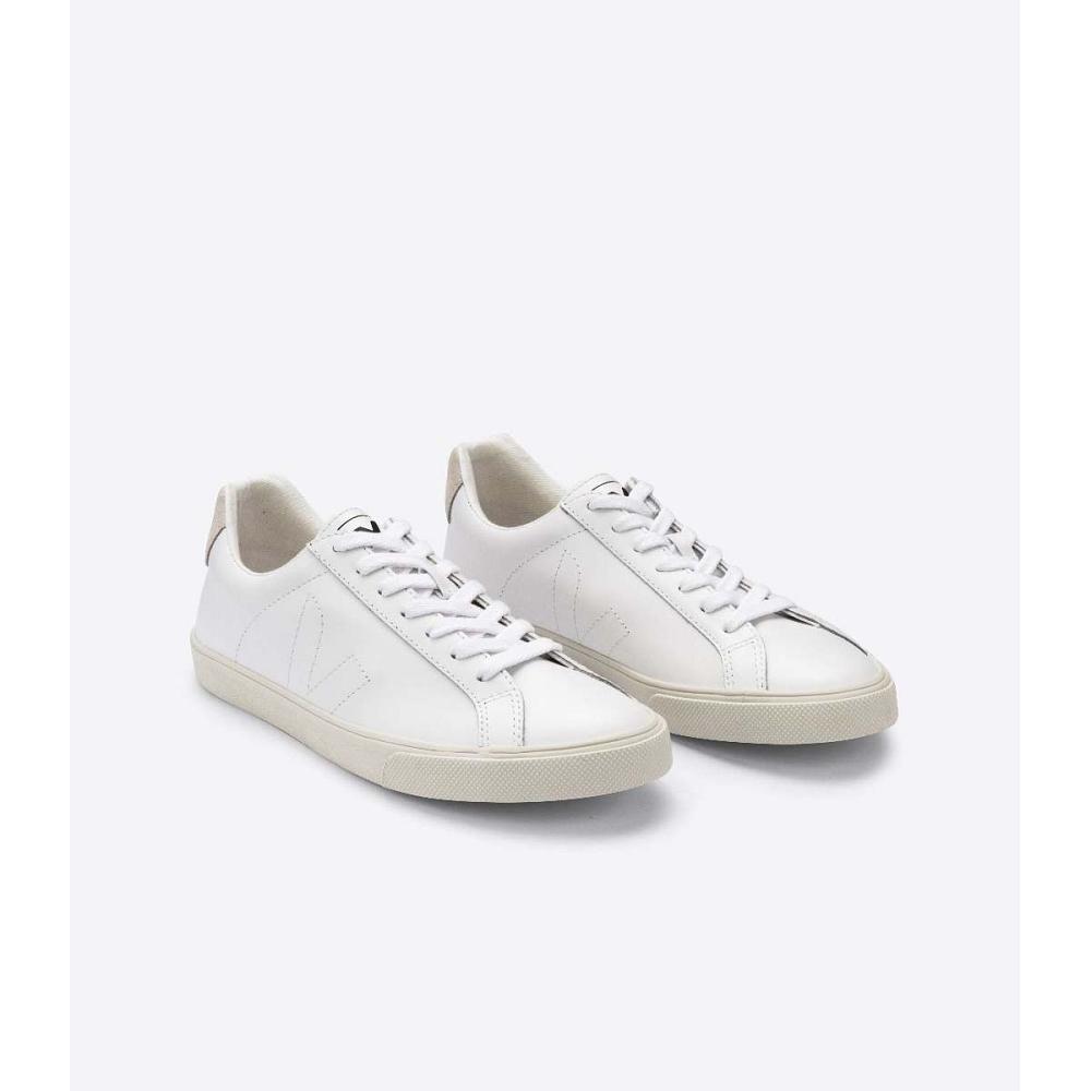 Veja ESPLAR LEATHER Ženske Tenisiće White/Beige | VEJA548-HR