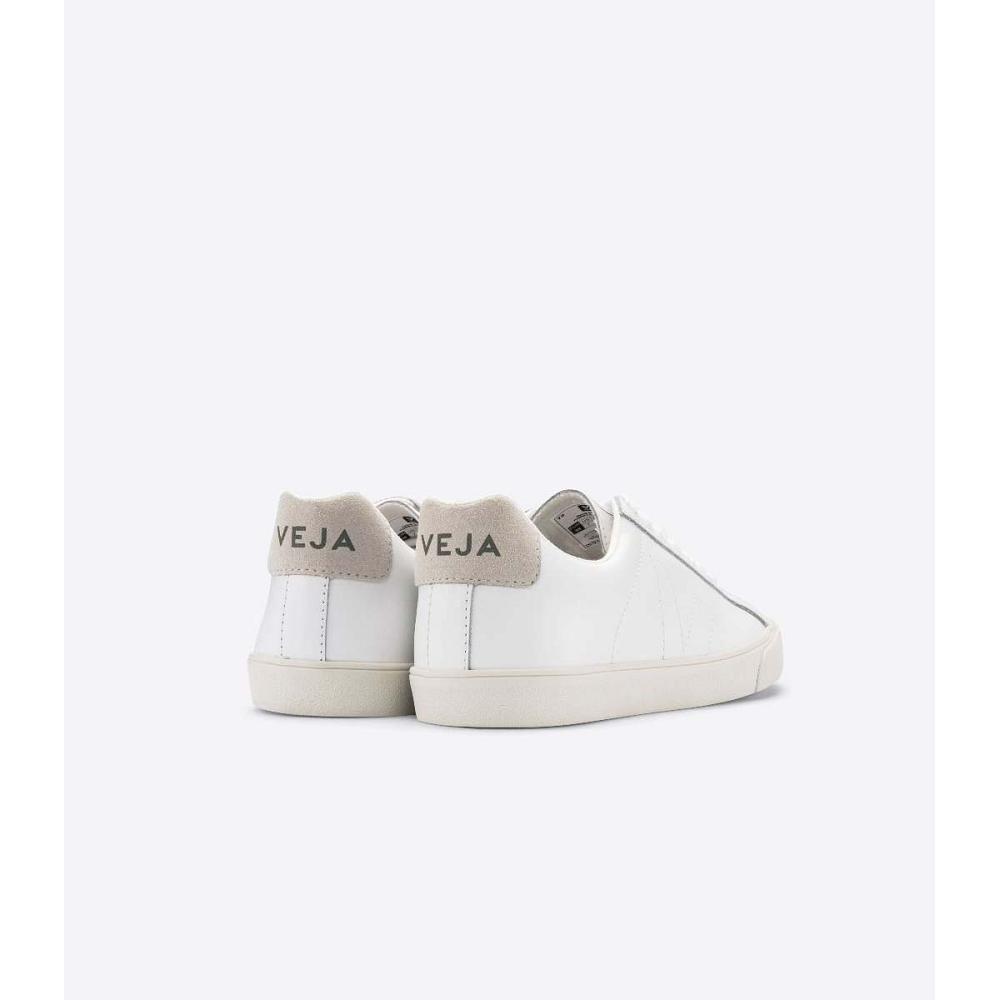 Veja ESPLAR LEATHER Ženske Tenisiće White/Beige | VEJA548-HR