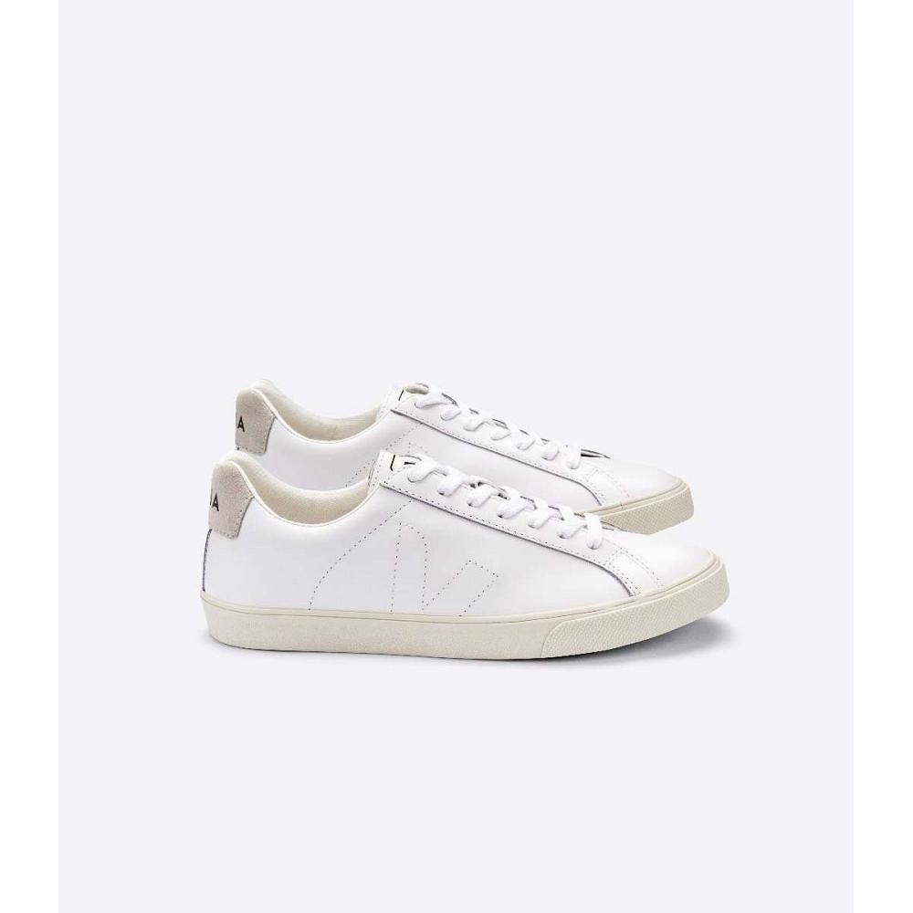 Veja ESPLAR LEATHER Ženske Tenisiće White/Beige | VEJA548-HR