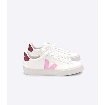 Veja CAMPO CHROMEFREE Muške Low Tops Sneakers White/Pink | VEJA094-HR